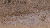 Filmstrip Image