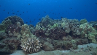 Filmstrip Image